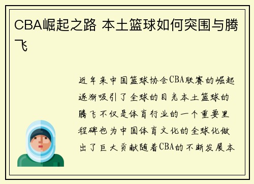 CBA崛起之路 本土篮球如何突围与腾飞 CBA崛起之路 本土篮球如何突围与腾飞